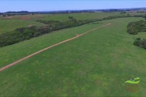 Voo técnico Glorinha - RS.00_00_11_12.Quadro001_9b8912f7d1c3a04eeac37b45794f6f953cc9583b.jpg